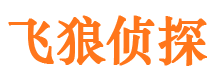 六合侦探调查公司